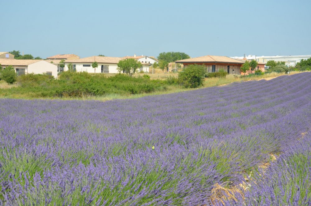 Тур  2AS  2019г. часть 4 095.JPG