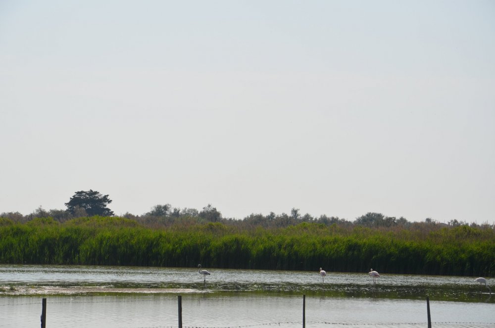 2AS  2019 г. часть 3 503.JPG