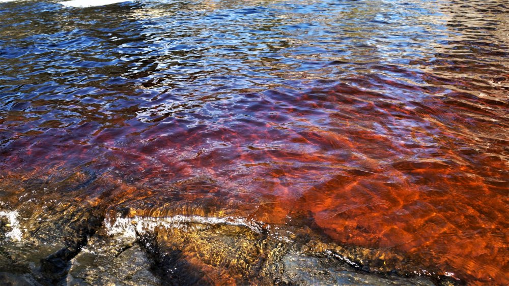 19.05.12_226_Карелия_водопады Ахинконки.JPG