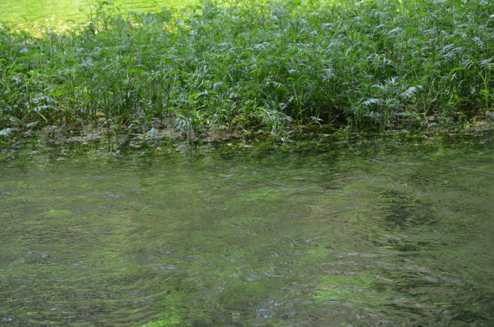 2AS  2019 г. часть 3 757.JPG