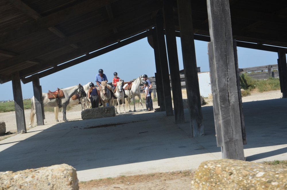 2AS  2019 г. часть 3 472.JPG