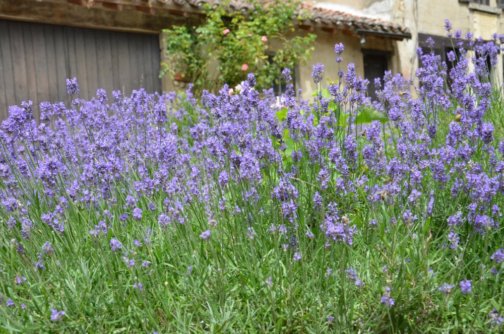 Тур 2AS 2019  часть 1 109.JPG