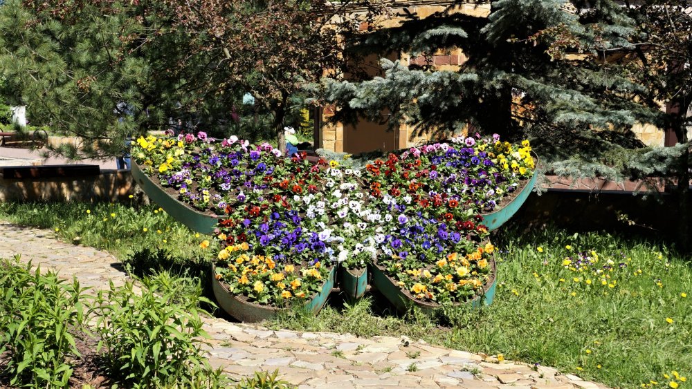 19.05.16_070_СПб_ Зоопарк.JPG