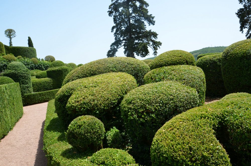 Тур 2AS 2019  часть 1 760.JPG