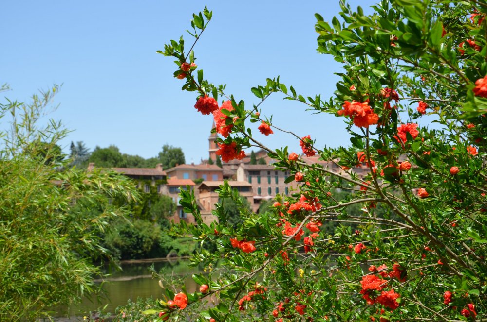 2 AS  2019г. часть 2 195.JPG