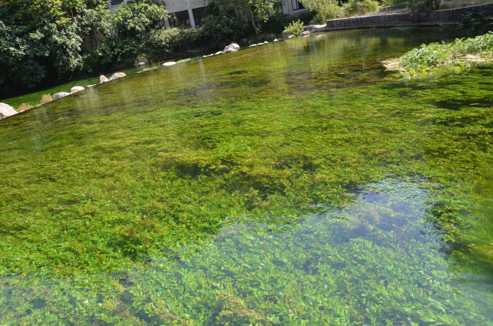 2AS  2019 г. часть 3 712.JPG