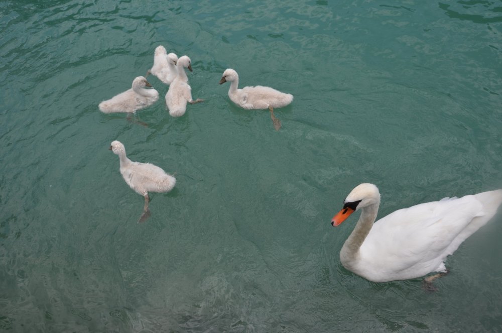 2AS  2019 г. часть 3 1226.JPG