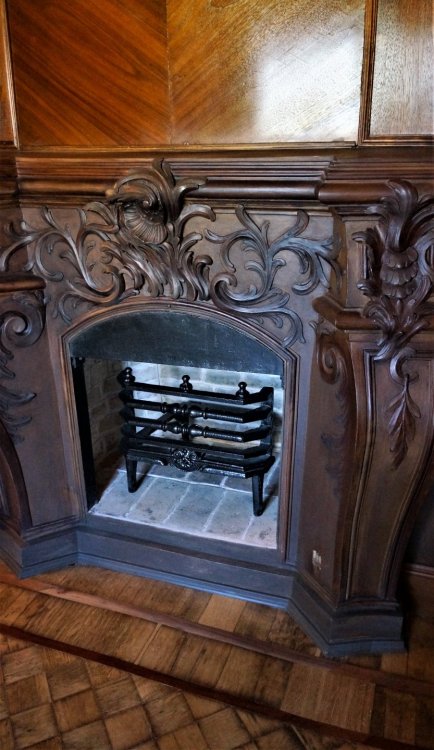 19.05.15_380_ Ораниенбаум_ Дворец Петра III.JPG