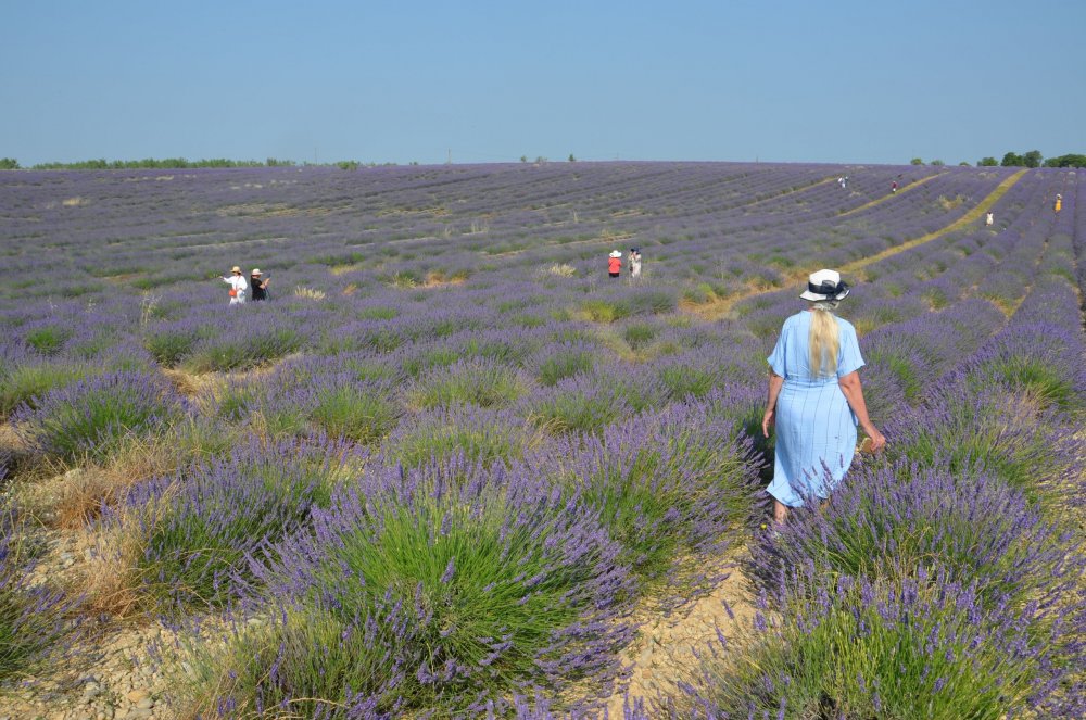 Тур  2AS  2019г. часть 4 019.JPG