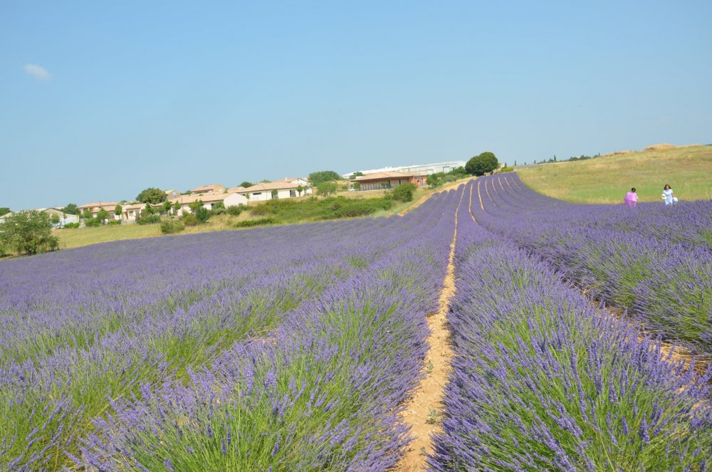 Тур  2AS  2019г. часть 4 107.JPG