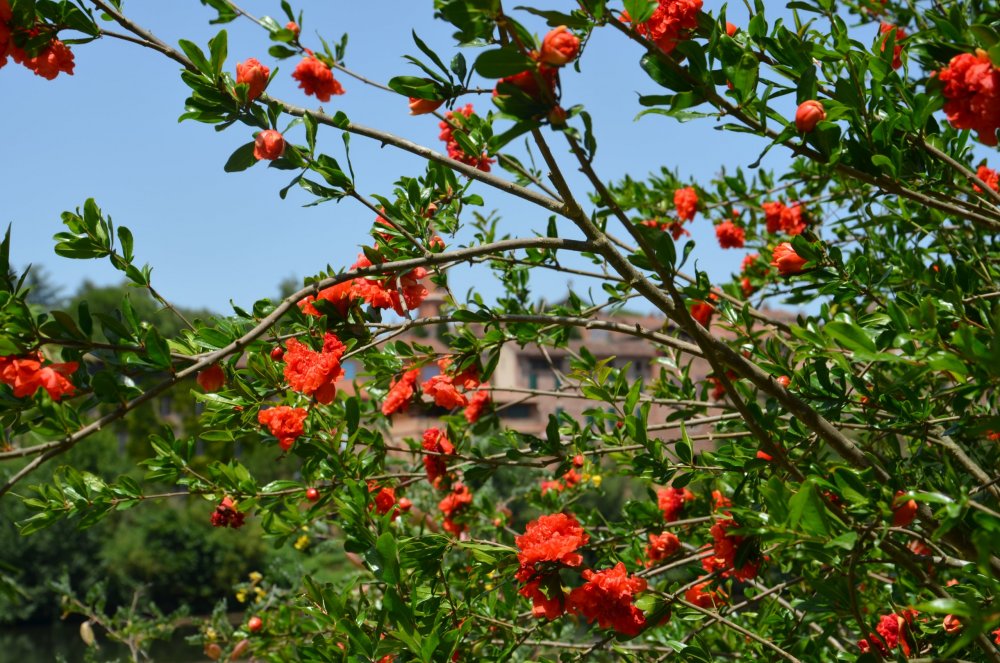 2 AS  2019г. часть 2 194.JPG