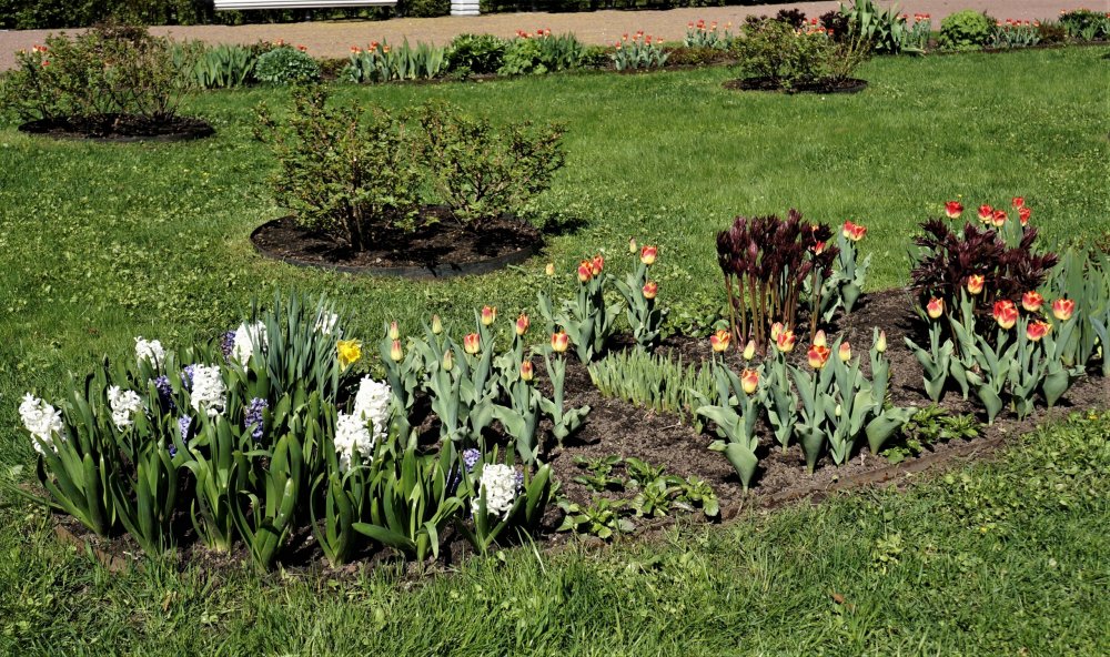 19.05.15_085_ Ораниенбаум.JPG