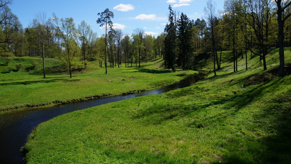 19.05.15_304_ Ораниенбаум.JPG