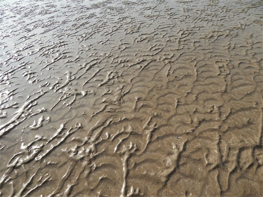 Трувиль( пляж2 день6).jpg