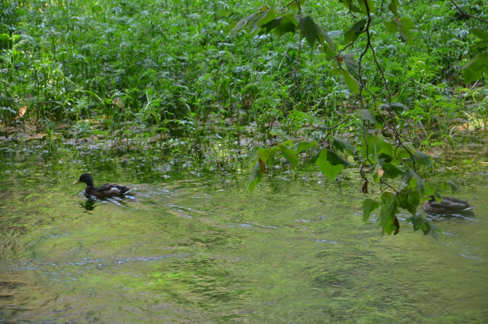 2AS  2019 г. часть 3 758.JPG