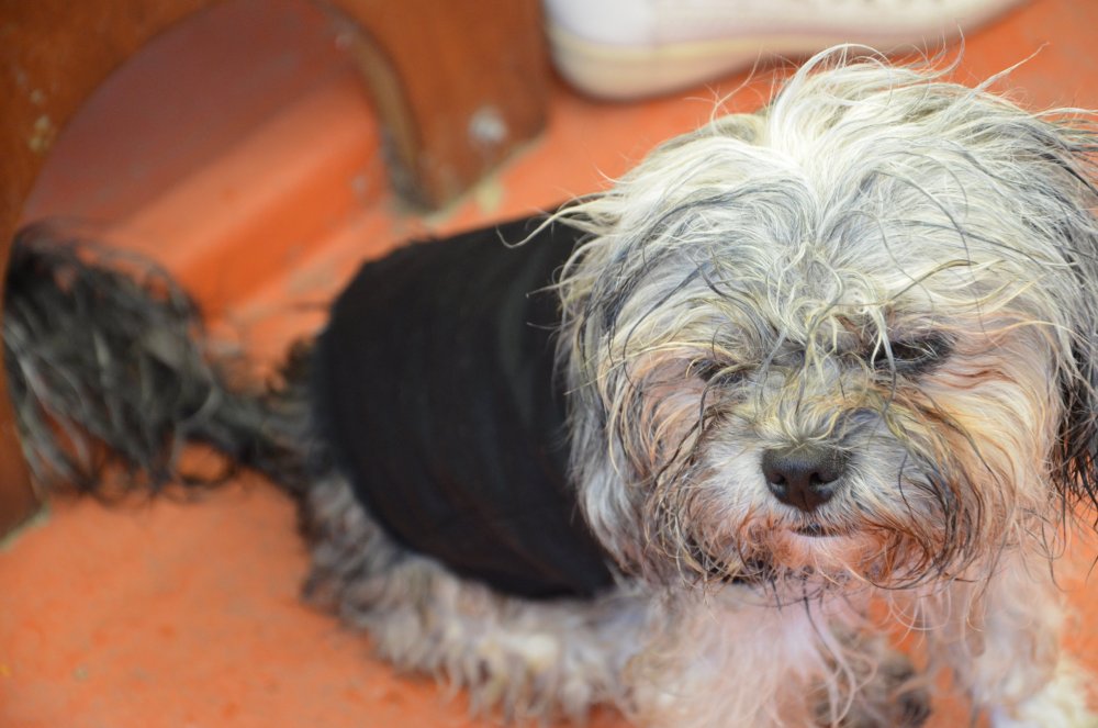 2 AS  2019г. часть 2 203.JPG