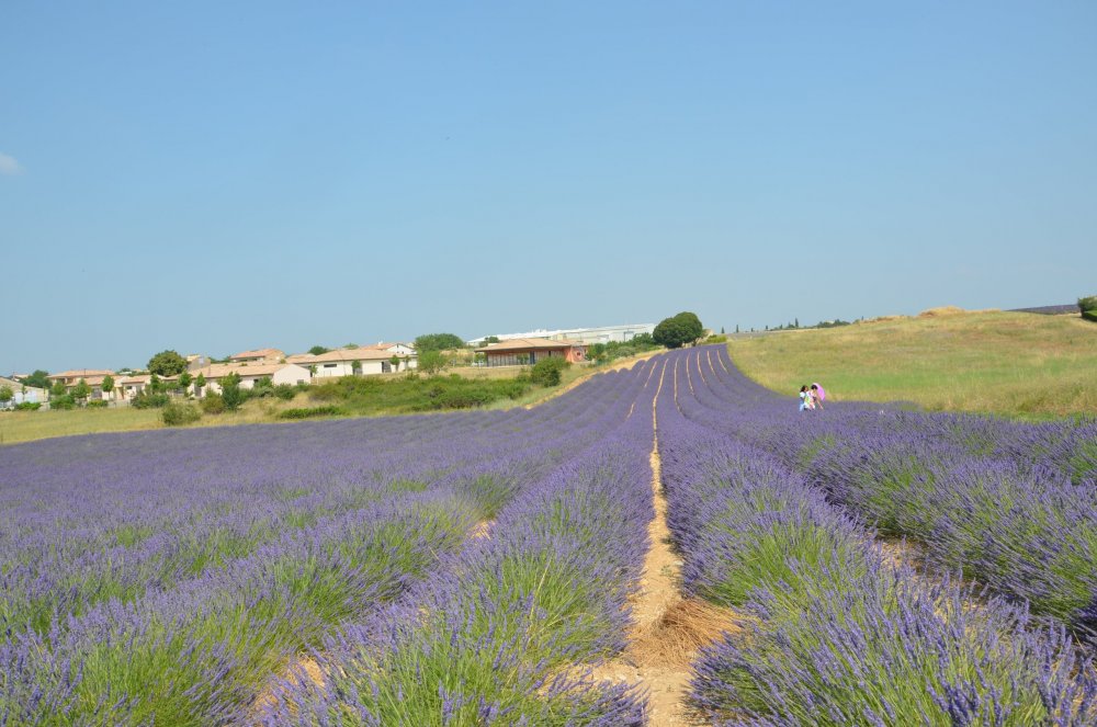 Тур  2AS  2019г. часть 4 106.JPG