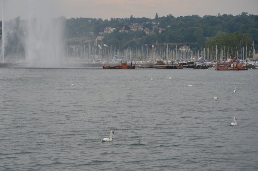 2AS  2019 г. часть 3 1301.JPG