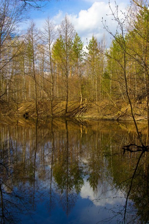 Img_7016-1 Марий Чодра.jpg