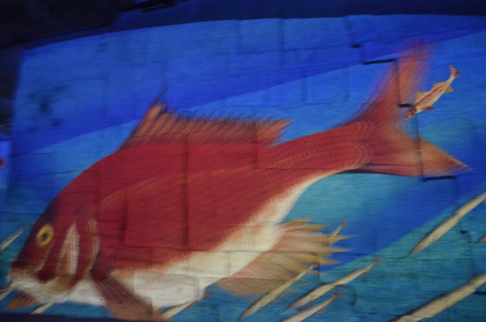 2AS  2019 г. часть 3 203.JPG