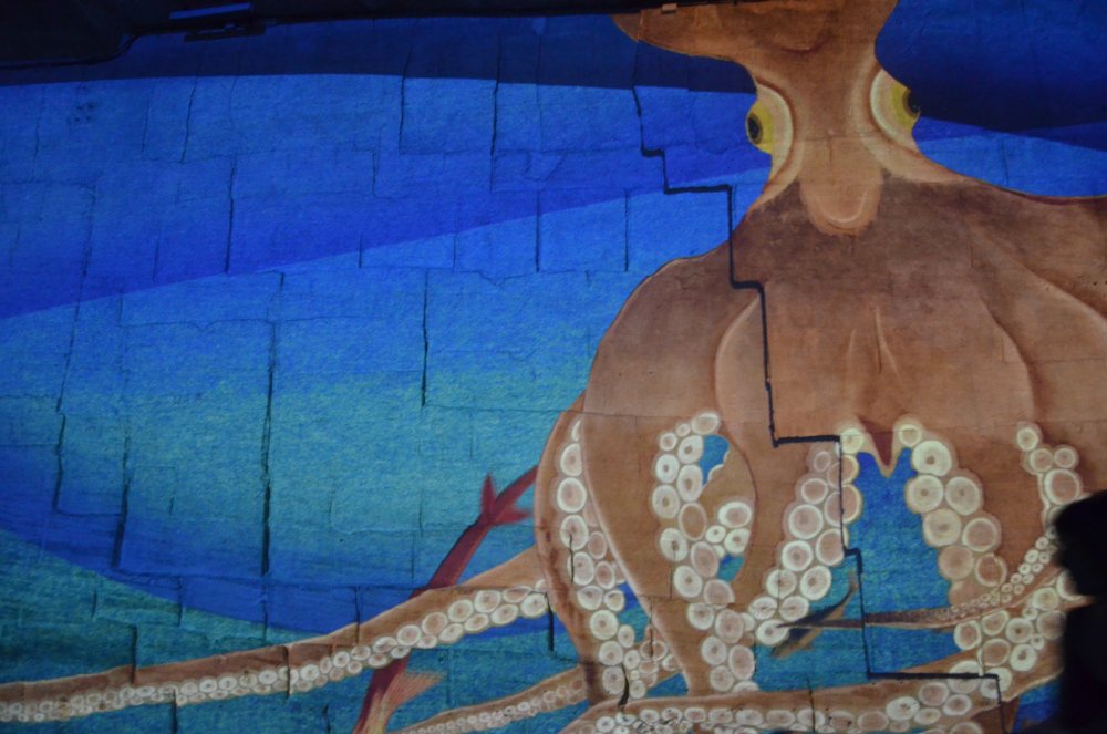 2AS  2019 г. часть 3 205.JPG