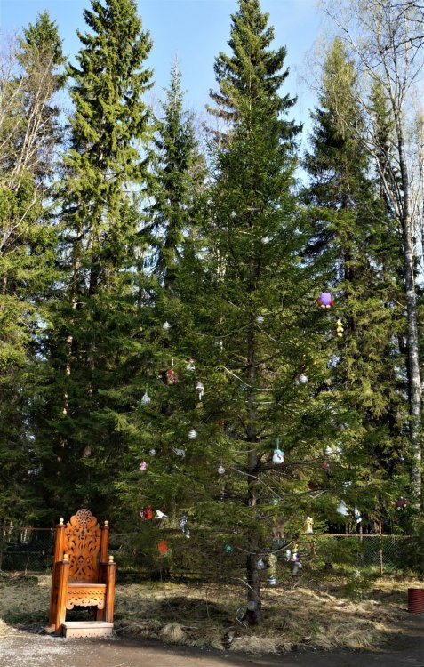 19.05.11_039_Карелия_водопад Кивач.JPG