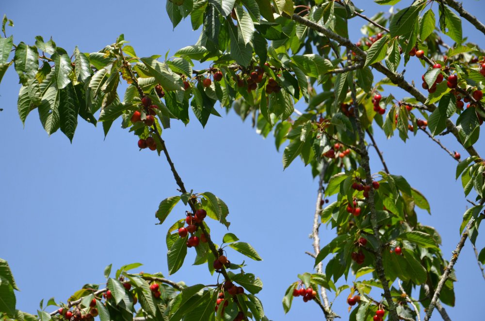 Тур 2AS 2019  часть 1 701.JPG