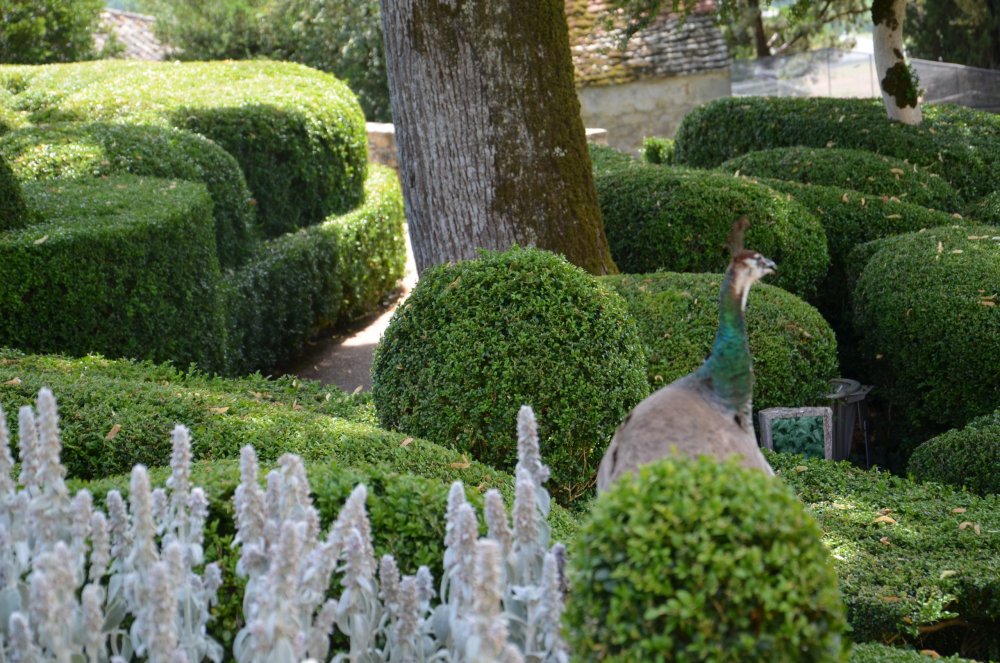 Тур 2AS 2019  часть 1 782.JPG