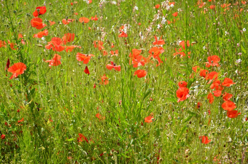 Тур 2AS 2019  часть 1 693.JPG