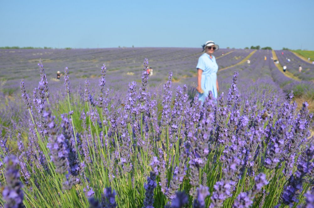 Тур  2AS  2019г. часть 4 021.JPG