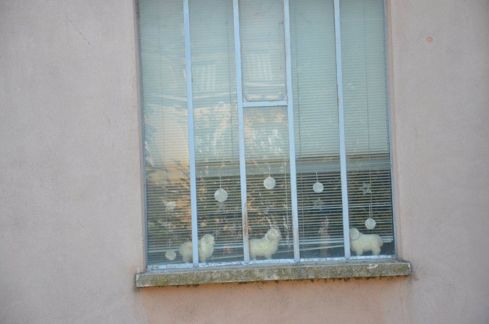 2AS  2019 г. часть 3 635.JPG