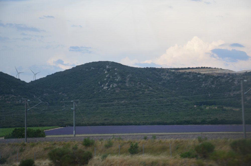 2AS  2019 г. часть 3 1017.JPG