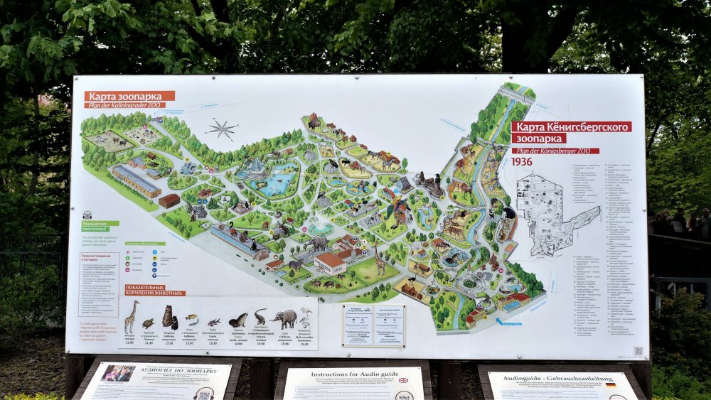 19.05.08_021_ Калининград_ зоопарк.JPG