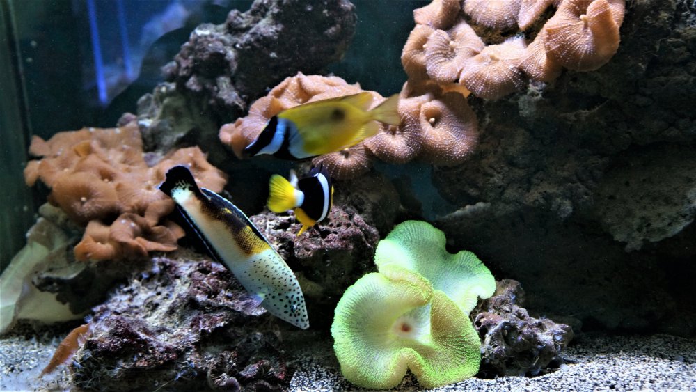 19.05.16_056_СПб_ Зоопарк.JPG