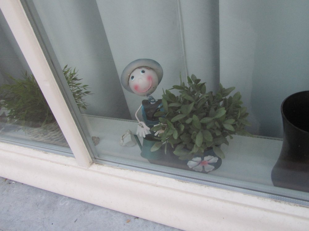 IMG_2015 — копия.JPG