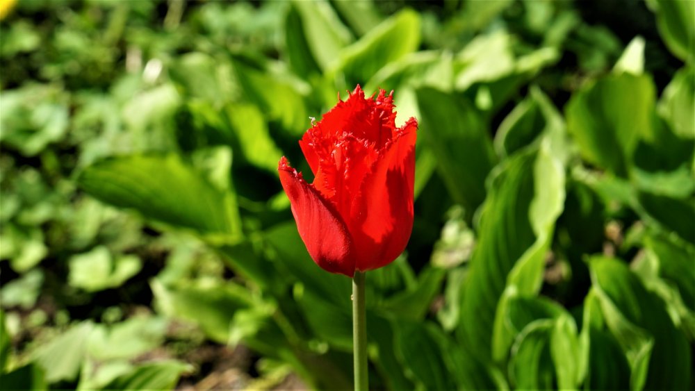 19.05.16_089_СПб_ Зоопарк.JPG