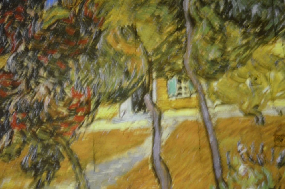 2AS  2019 г. часть 3 258.JPG