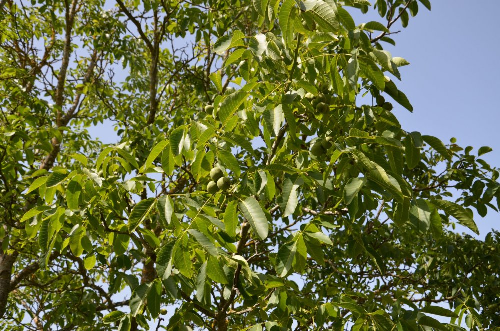 Тур 2AS 2019  часть 1 785.JPG