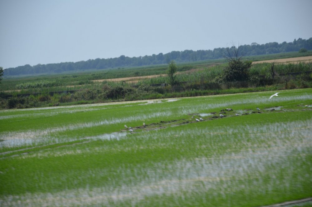 2AS  2019 г. часть 3 439.JPG