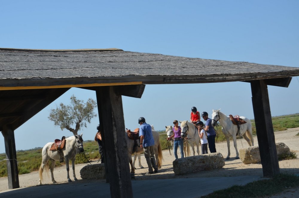 2AS  2019 г. часть 3 471.JPG