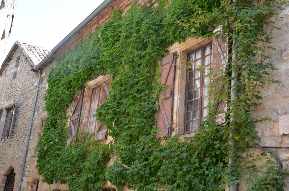 2 AS  2019г. часть 2 021.JPG