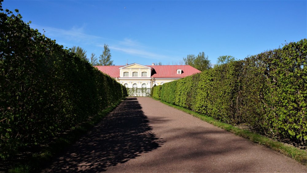 19.05.15_434_ Ораниенбаум.JPG