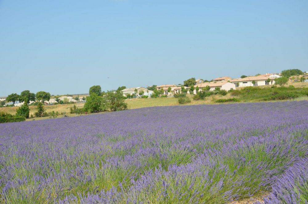 Тур  2AS  2019г. часть 4 105.JPG