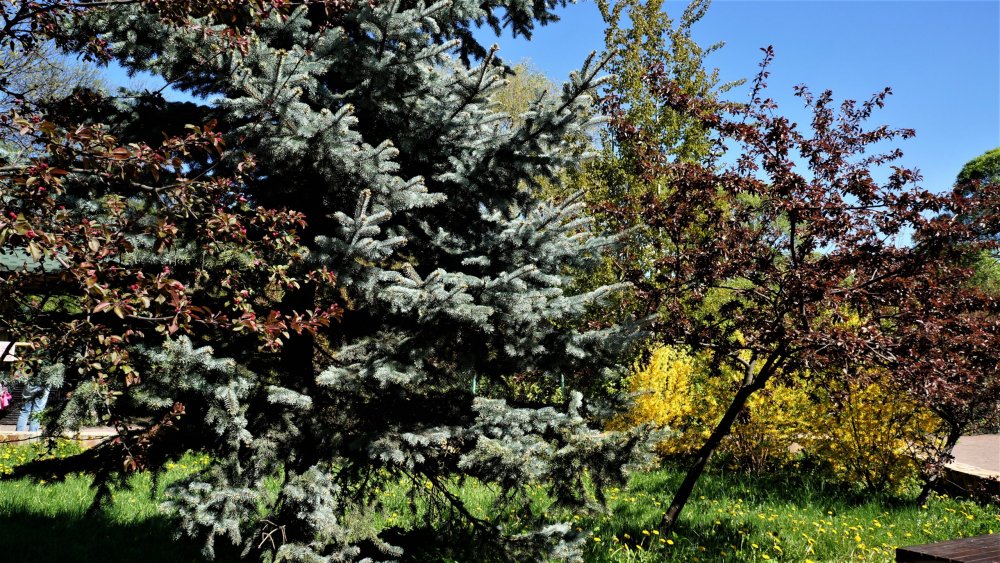 19.05.16_060_СПб_ Зоопарк.JPG