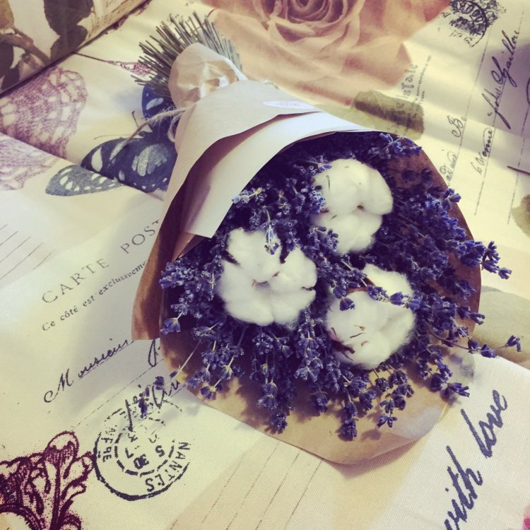 IMG_1969-19-07-19-10-38 (1).JPG