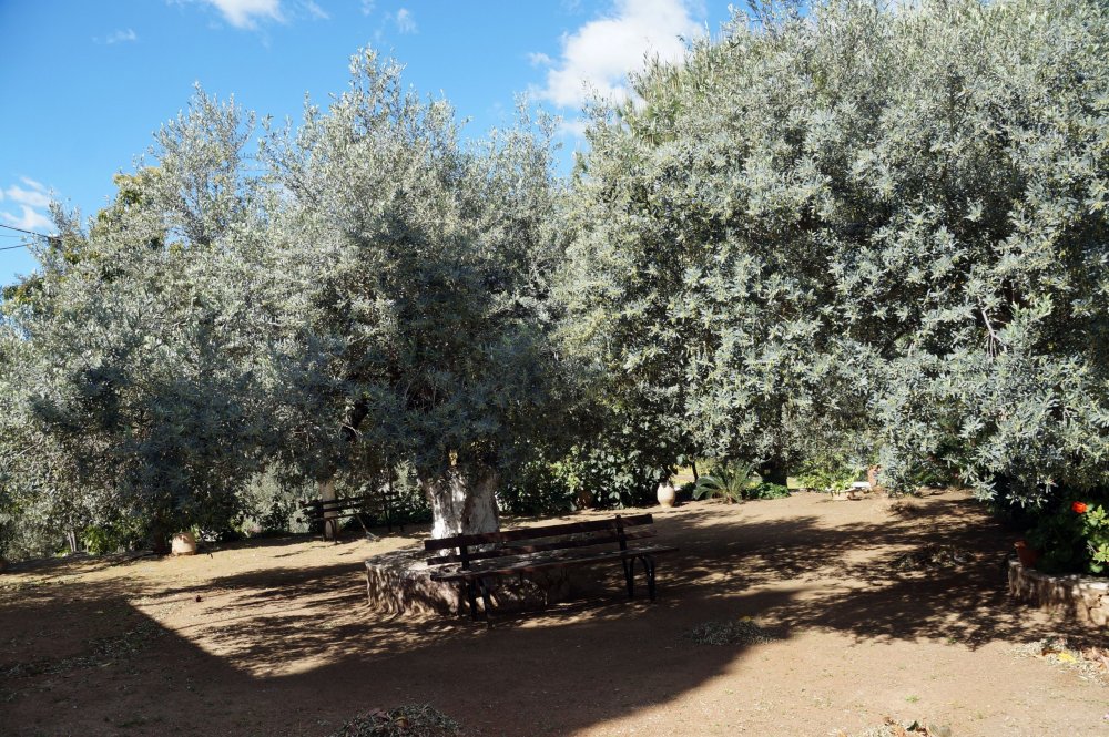 28_Женский мон-рь Агнудос(Греция)_013.JPG