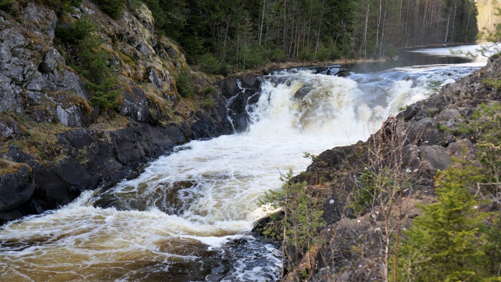 19.05.11_062_Карелия_водопад Кивач.JPG