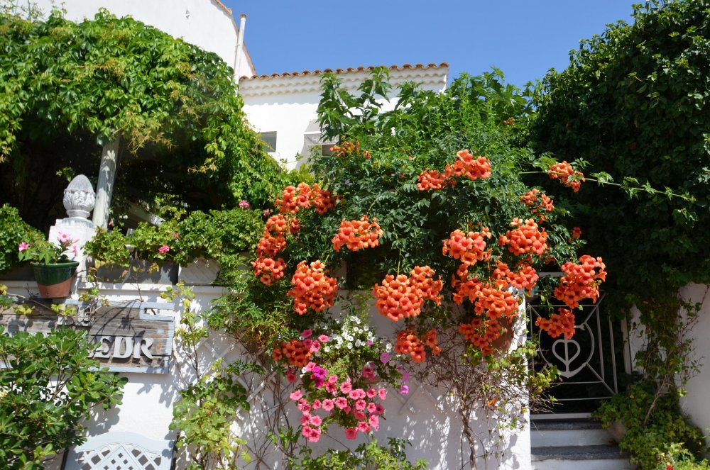 2AS  2019 г. часть 3 448.JPG