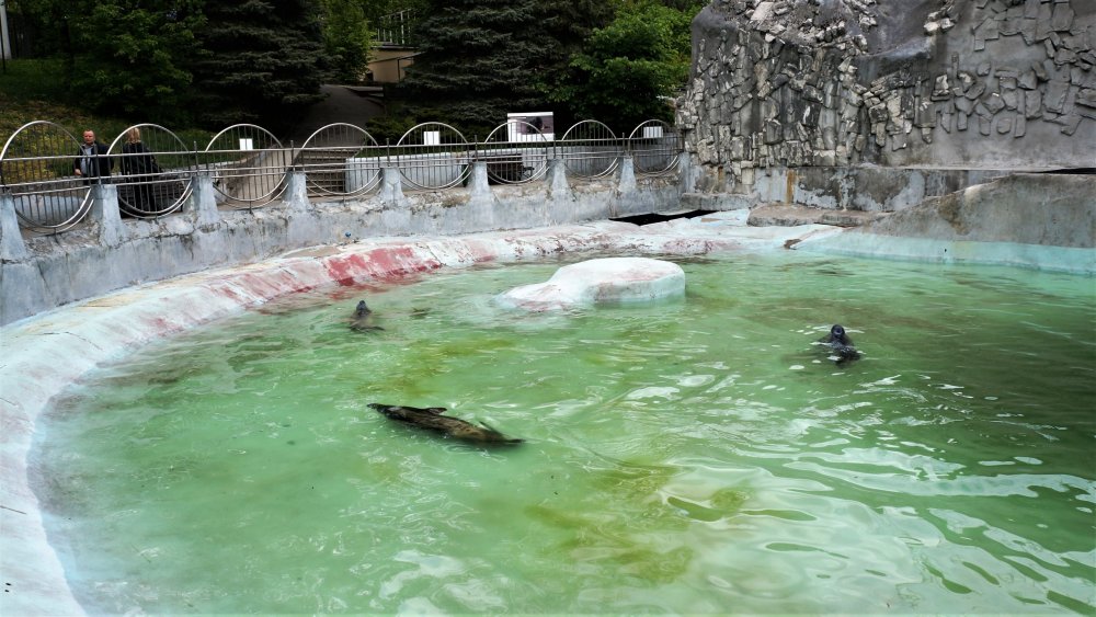 19.05.08_024_ Калининград_ зоопарк.JPG