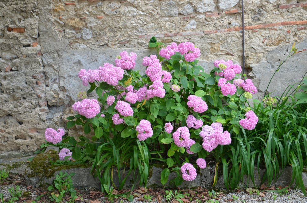 Тур 2AS 2019  часть 1 127.JPG